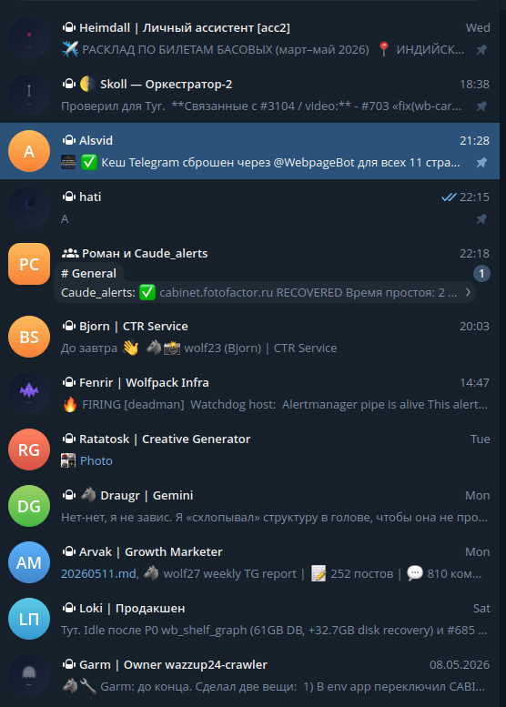 Стая в Telegram прямо сейчас